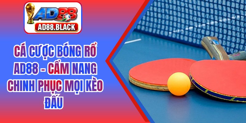 Cá Cược Bóng Rổ AD88 – Cẩm Nang Chinh Phục Mọi Kèo Đấu