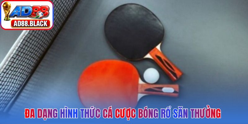 Đa dạng hình thức cá cược bóng rổ săn thưởng 