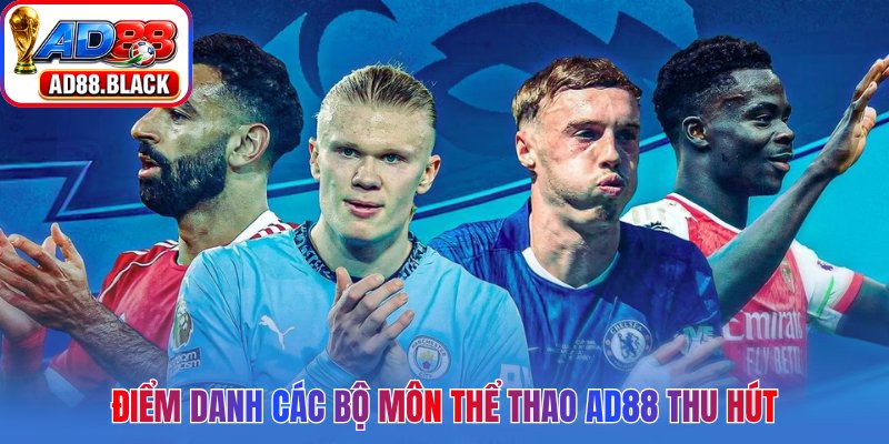 Điểm danh các bộ môn thể thao AD88 thu hút