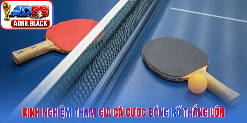 Kinh nghiệm tham gia cá cược bóng rổ thắng lớn