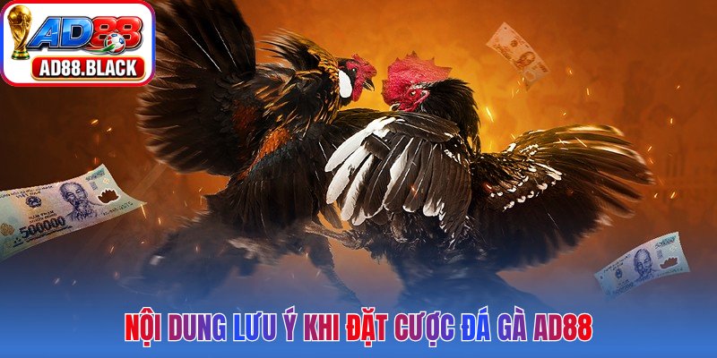 Nội dung lưu ý khi đặt cược đá gà AD88