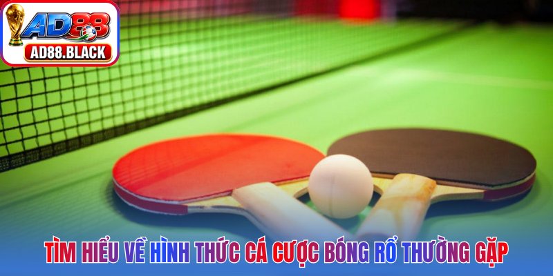 Tìm hiểu về hình thức cá cược bóng rổ thường gặp